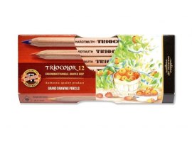 Pastelky Triocolor - 12 barev / natura / silné