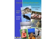 Everyday photo fotopapír A4 20 listů 200 g Everyday photo fotopapír A4 20 listů 200 g