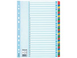 Rozdružovač A4 kartonový Esselte Mylar - barevný / 1 - 31 Rozdružovač A4 kartonový Esselte Mylar - barevný / 1 - 31