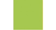 Barevný karton - A4 / 160 g / jarní zelená