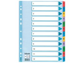 Rozdružovač A4 kartonový Esselte Mylar - barevný / 1 - 12