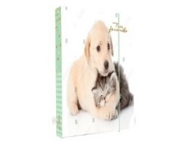 Desky na sešity - A4 box s gumičkou / mix motivů Desky na sešity - A4 box s gumičkou / mix motivů