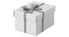 Krabice úložná Esselte - S / bílá / 255 x 200 x 150 mm / 3 ks