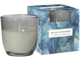 Vonná svíčka - sklo / bay leaf & blackberry