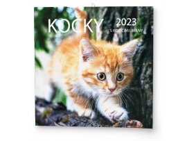 Kalendář nástěnný poznámkový - Kočky / BNL1