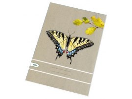 Sešit školní 465 ECOLOGY 60 listů / A4 / čtvereček Sešit školní 465 ECOLOGY 60 listů / A4 / čtvereček