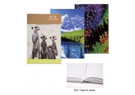 Kniha záznamní lepená Concorde - A5 / linka / 150 listů