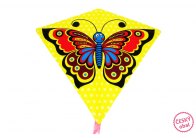 Drak motýl / 68x73 cm