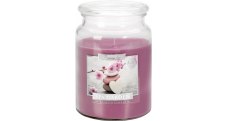 Vonná svíčka v dóze Maxi / Spa Garden