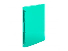 Desky A4 kroužkové průsvitné - 4 - kroužek / zelená