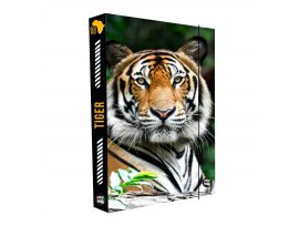 Box A4 na sešity Jumbo - Tiger