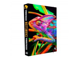 Box na sešity A4 Jumbo / Chameleon