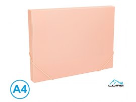 Box na spisy s gumou A4 - pastelová růžová