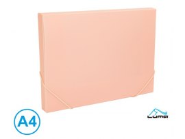 Box na spisy s gumou A4 - pastelová růžová Box na spisy s gumou A4 - pastelová růžová