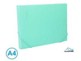 Box na spisy s gumou A4 - pastelová zelená Box na spisy s gumou A4 - pastelová zelená