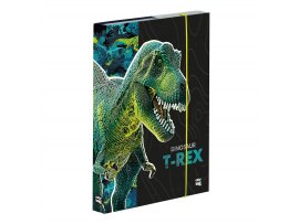 Box na sešity A4 - Dinosaurus