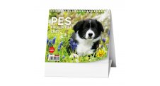 Kalendář stolní MINI Pes, věrný přítel / BSL7