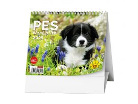 Kalendář stolní MINI Pes, věrný přítel / BSL7