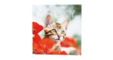 Kalendář nástěnný poznámkový - Kočky / BNL1