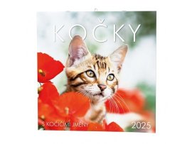 Kalendář nástěnný poznámkový - Kočky / BNL1 Kalendář nástěnný poznámkový - Kočky / BNL1