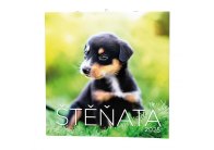 Kalendář nástěnný poznámkový - Štěňata / BNL2 Kalendář nástěnný poznámkový - Štěňata / BNL2