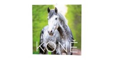 Kalendář nástěnný poznámkový - Koně / BNL3