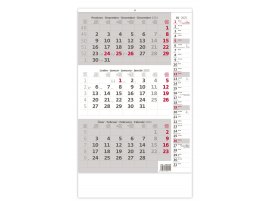 Kalendář nástěnný pracovní - tříměsíční šedý s poznámkami / N210