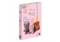 Box na sešity A4 - Mazlíčci Box na sešity A4 - Mazlíčci