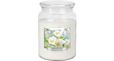 Vonná svíčka v dóze Maxi - Blooming jasmine
