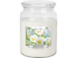 Vonná svíčka v dóze Maxi - Blooming jasmine Vonná svíčka v dóze Maxi - Blooming jasmine