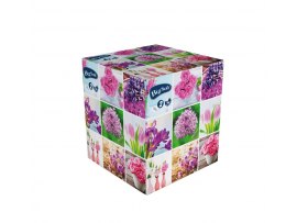 Papírové kapesníčky Big Soft - 75 ks / jarní motiv Papírové kapesníčky Big Soft - 75 ks / jarní motiv