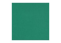 Barevný karton - A4 / 160 g / tmavě zelená Barevný karton - A4 / 160 g / tmavě zelená