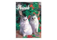 Skicáky - skicák A4 / 10 listů Skicáky - skicák A4 / 10 listů